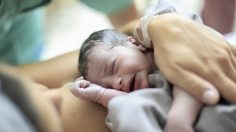 Frame NC2169 Manuella-32